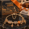 TVF Gold Charm Bracelet Set PTKL